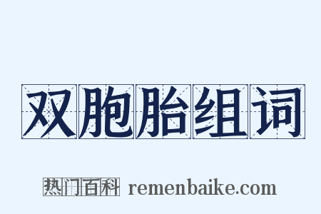 双胞胎组词是什么意思的图片